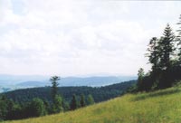 Powiększ...