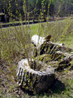 [+] powikszenie...