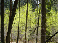 [+] powikszenie...