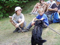[+] powikszenie...
